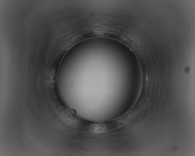 X0000091220275200708231638