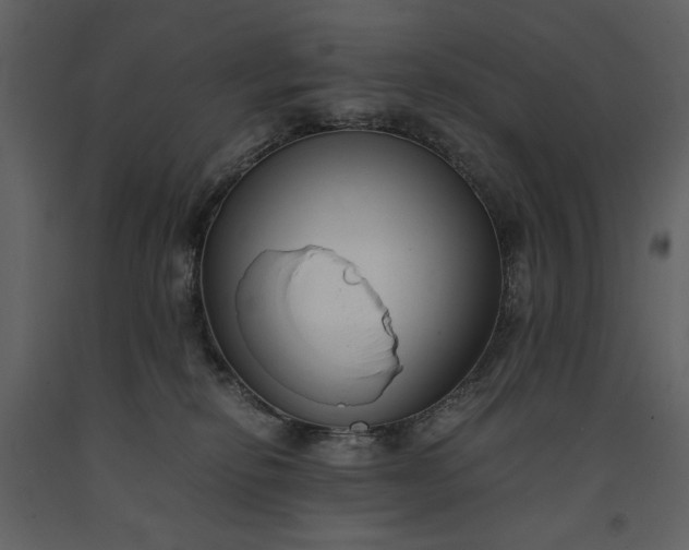 X0000091220278200708231638