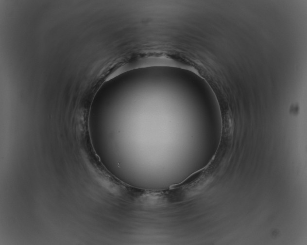 X0000091220280200708231638