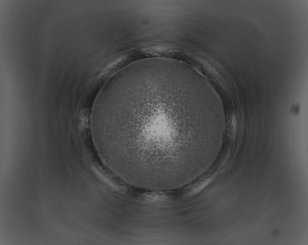 X0000091220284200708231638