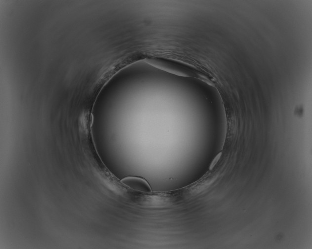 X0000091220286200708231638