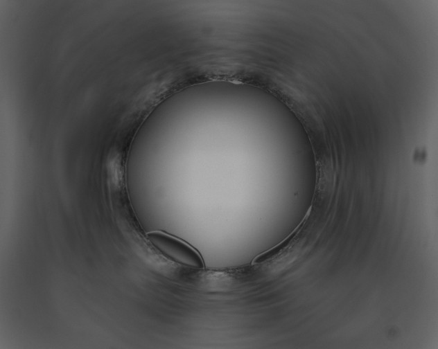 X0000091220287200708231638