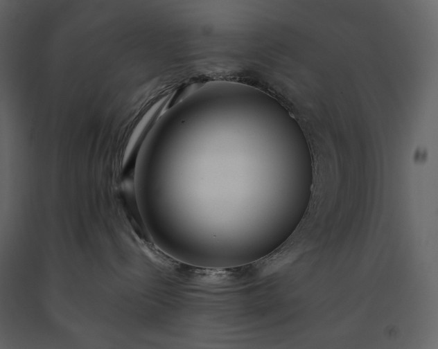 X0000091220288200708231638