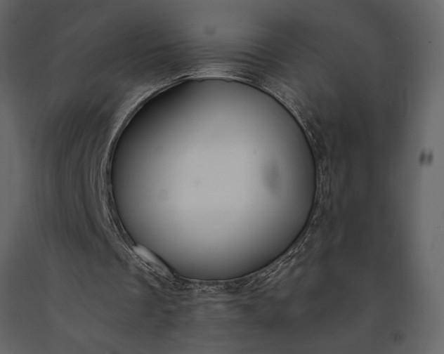 X0000091220289200708231637