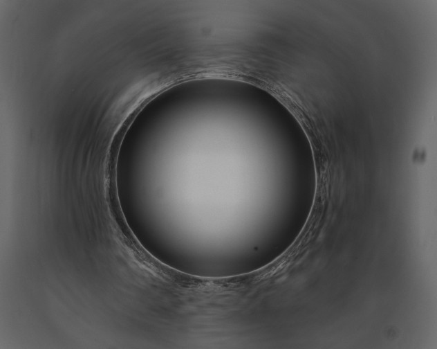 X0000091220290200708231637