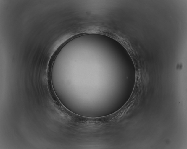 X0000091220292200708231637