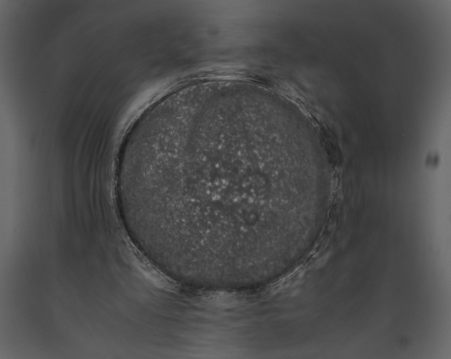 X0000091220293200708231637