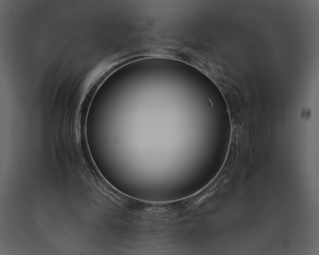 X0000091220294200708231637