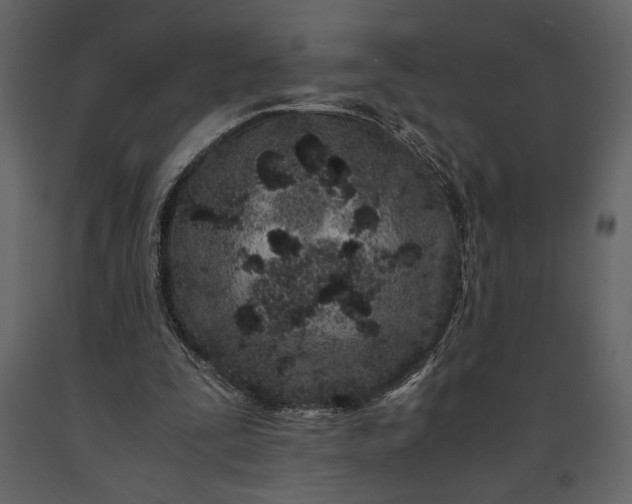 X0000091220295200708231637