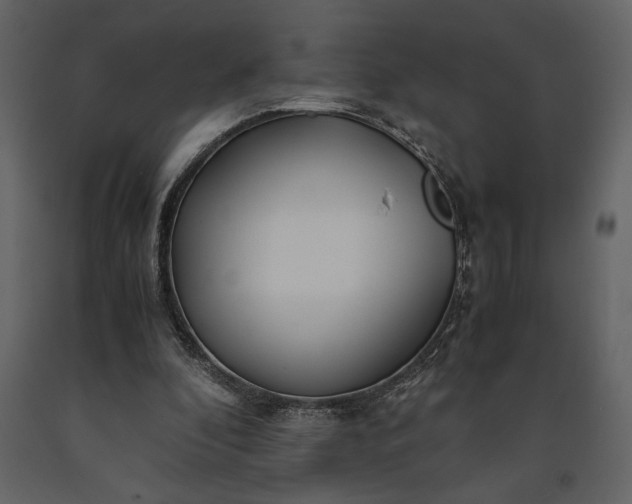 X0000091220296200708231637