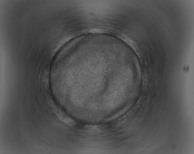 X0000091220297200708231637