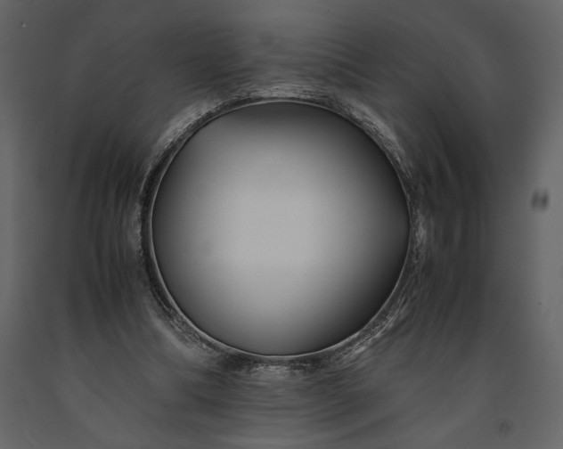 X0000091220298200708231637