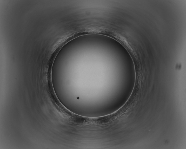 X0000091220299200708231637