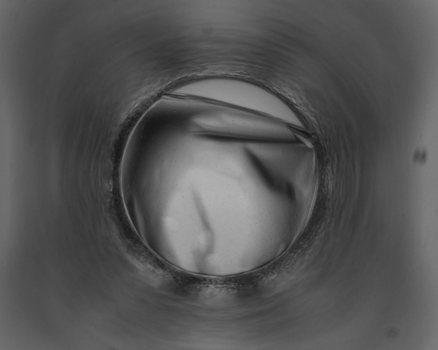 X0000091220303200708231637