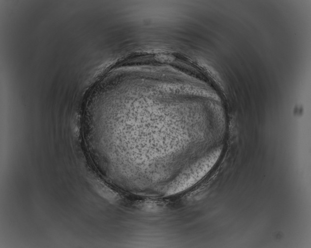 X0000091220305200708231637