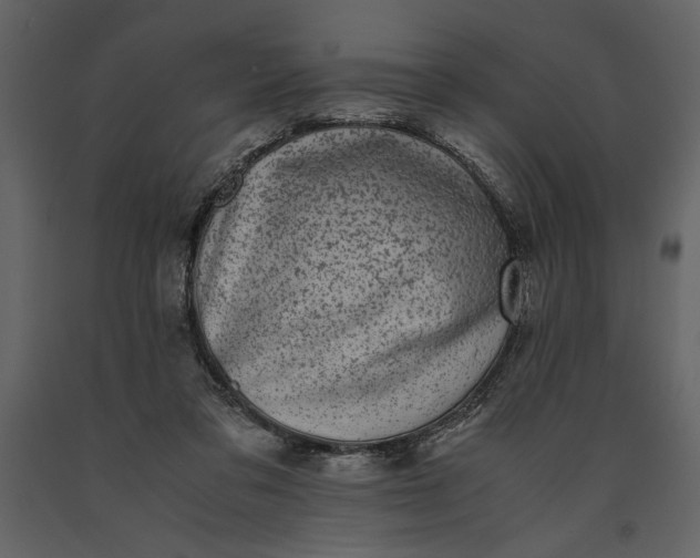 X0000091220309200708231637