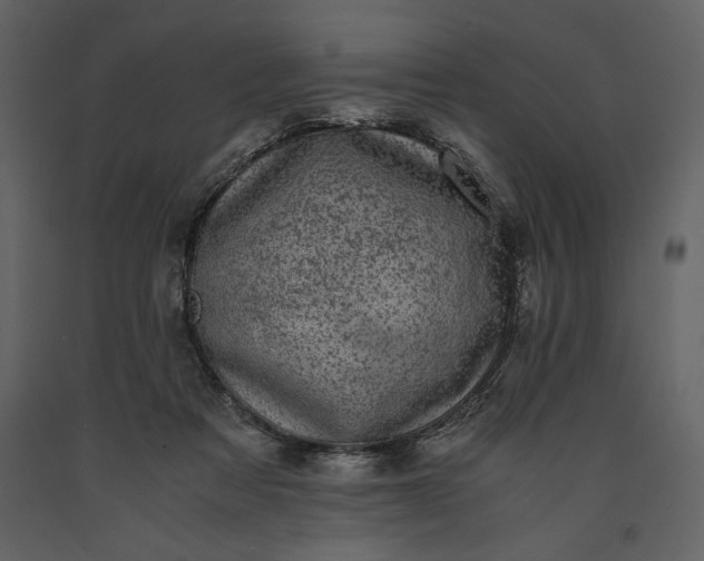 X0000091220313200708231637