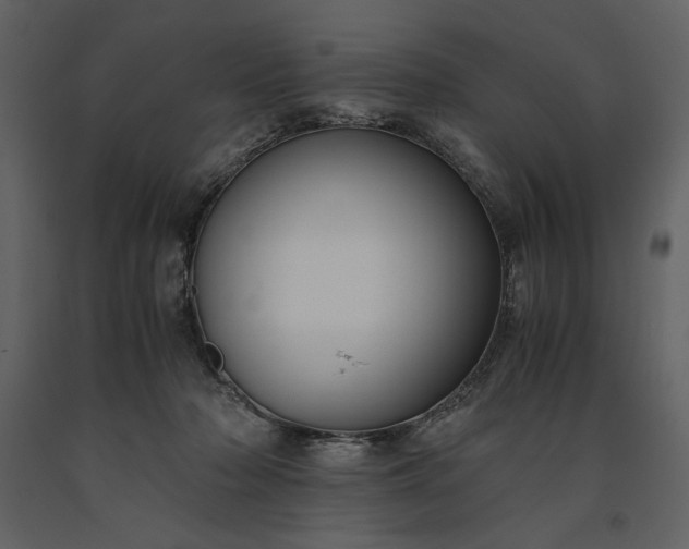 X0000091220318200708231637