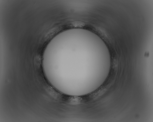 X0000091220321200708231637