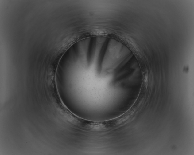 X0000091220322200708231637