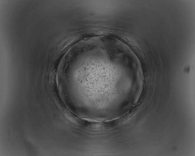 X0000091220325200708231637