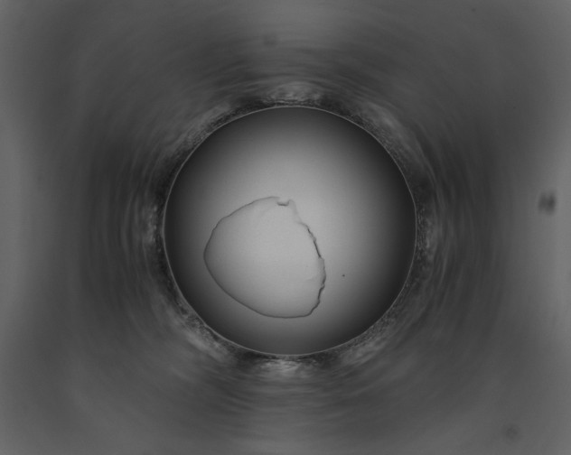 X0000091220326200708231637