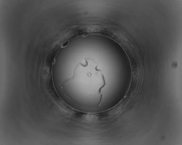 X0000091220327200708231637