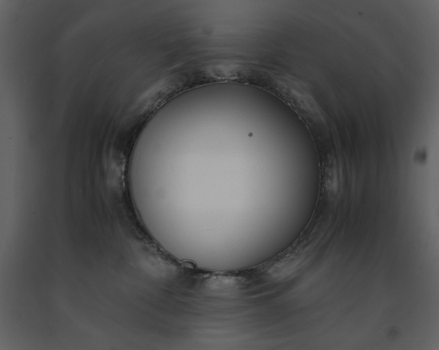 X0000091220332200708231637