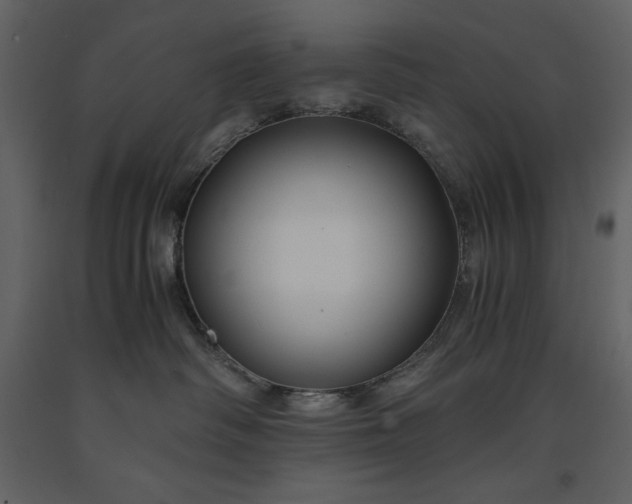 X0000091220334200708231637