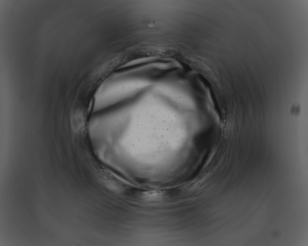 X0000091220335200708231637