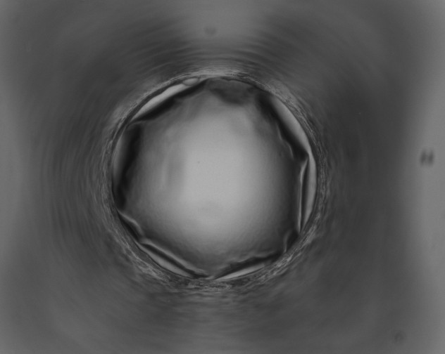 X0000091220337200708231636