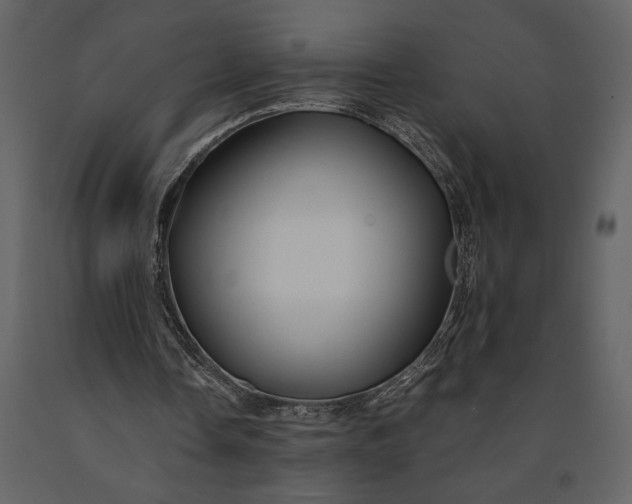 X0000091220338200708231636