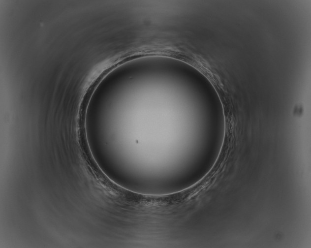 X0000091220340200708231636