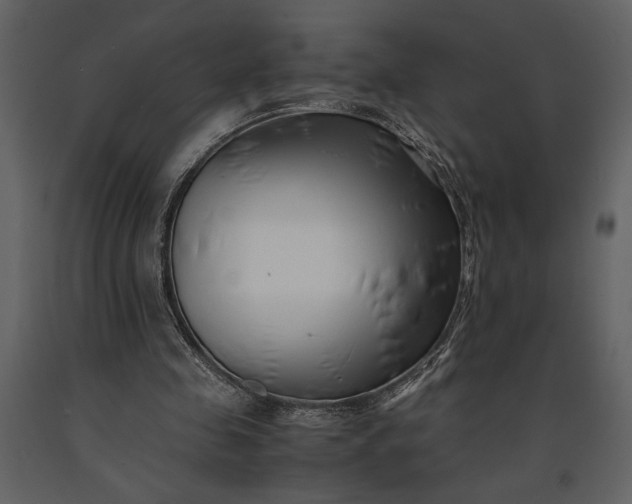 X0000091220341200708231636