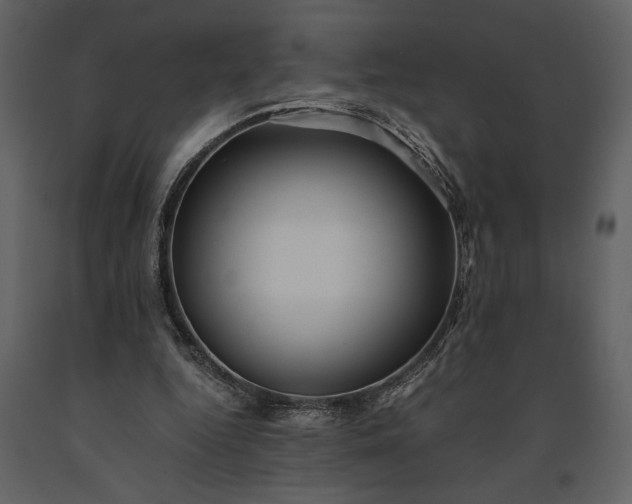 X0000091220344200708231636