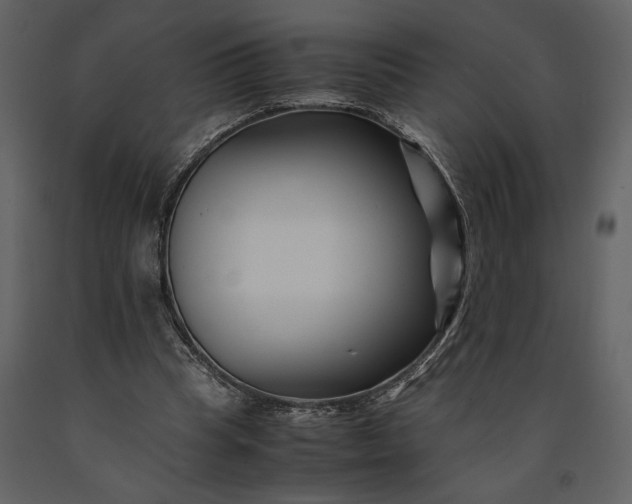 X0000091220345200708231636