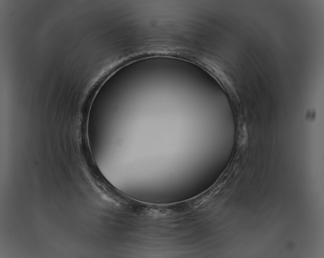 X0000091220346200708231636