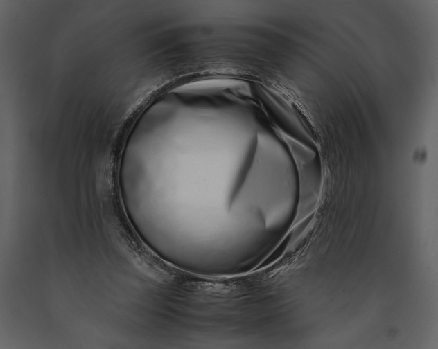 X0000091220347200708231636