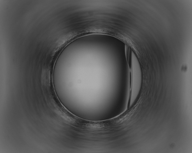 X0000091220349200708231636