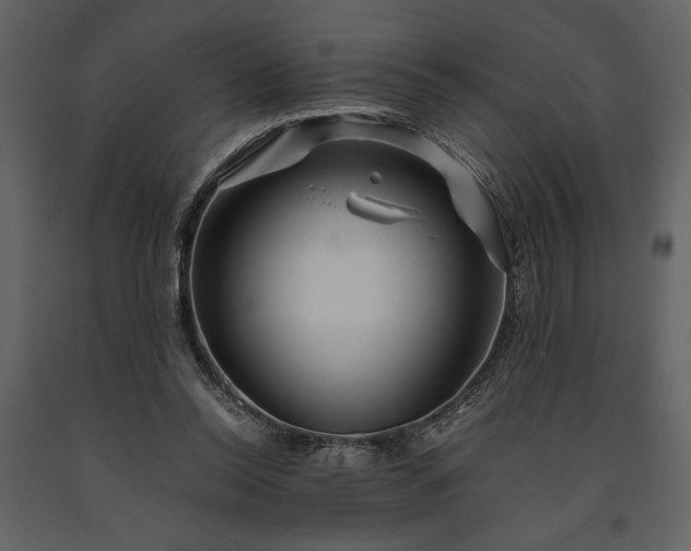 X0000091220350200708231636