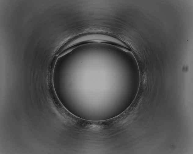 X0000091220352200708231636