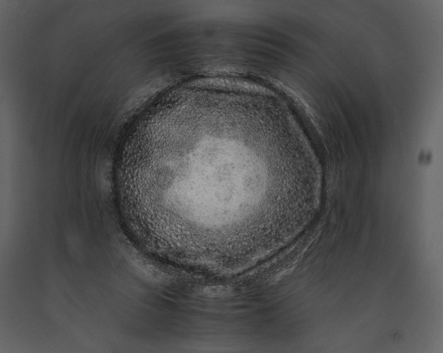 X0000091220353200708231636