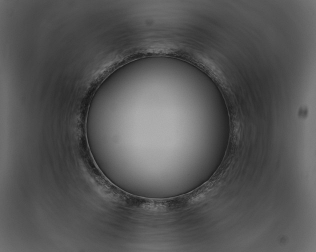 X0000091220354200708231636