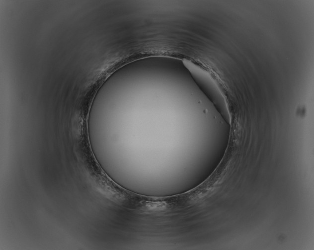 X0000091220355200708231636