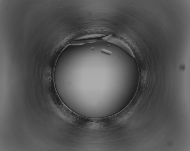 X0000091220356200708231636