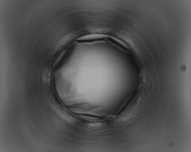 X0000091220357200708231636