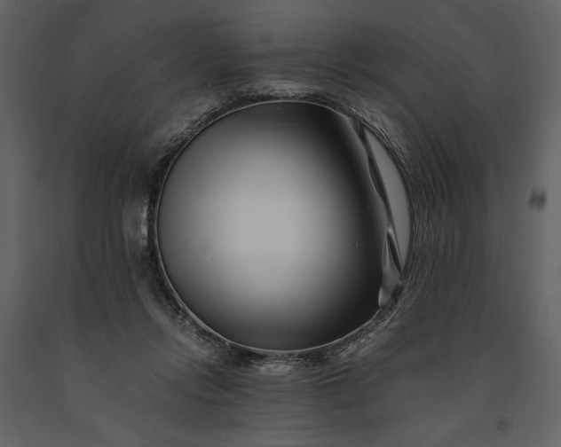 X0000091220358200708231636