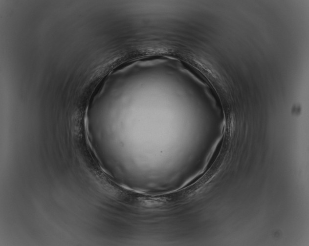 X0000091220359200708231636