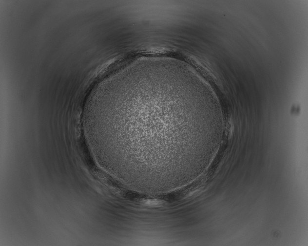 X0000091220360200708231636