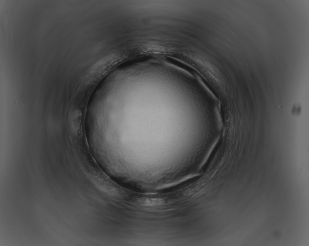 X0000091220361200708231636